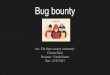 Yet another talk on bug bounty