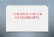 External causes  of morbidity