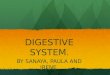 Digestive system irene, paula b. and sanaya