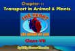 11. Transportation in Animals and Plants by Dilip Kumar Chandra