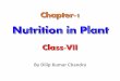 01. Nutrition in Plants by Dilip Kumar Chandra