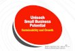 Unleash Small Business Potential