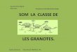 Projecte Les Granotes. P5