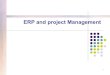 ERP  project mgt approach