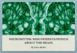 Dave Rocker: Neuromyths: Misunderstandings About The Brain
