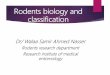Rodents biology and classification