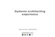 Systems architecting experience
