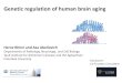 Genetic regulation of human brain aging