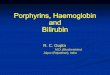Porphyrins, haemoglobin and bilirubin