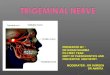 Trigeminal nerve - max and opthalmic div