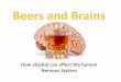 Beers and brains
