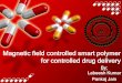 Magnetic field control drug delievery