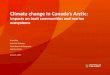 Climate change in Canada's Arctic: Impacts on Inuit communities and marine ecosystems