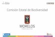 Comisión Estatal de Biodiversidad Morelos 2017 @coesbio