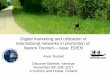 Digital marketing in EDEN network