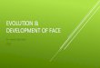 Evolution & Development of Face