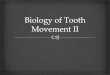 biology of tooth movement ii