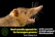 Taras Oleksyk at #ICG12: Innovative assembly strategy contributes to the understanding of evolution and conservation genetics of the critically endangered Solenodon paradoxus from