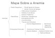 Anemia e suas características