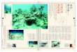 Yamamoto Y. - 阿護の浦海底遺跡 - 15.11.2016