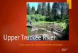 Upper truckee river gizeh
