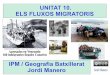 Unitat 10   2017-18 -  els fluxos migratoris