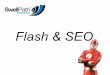 Flash Optimization (SEO)