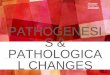 Pregnancy induced Hypertension- Pathogenesis and pathological changes