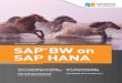 SAP BW on SAP HANA - Espresso Tutorials nbsp; 1.2 SAP BW on SAP HANA 18 ... also offers user and authorization management and SAP HANA extend-ed application services (XS) for