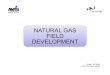 NATURAL GAS FIELD DEVELOPMENT -  · PDF filedownstream Solvent Contactor ... 6 TEG Dehydration Offshore EP 3 trains, ... (shell, supports, vessel internals)