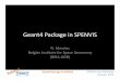 Geant4 Package in SPENVIS · PDF fileGeant4 Package in SPENVIS N. Messios Belgian Institute for Space Aeronomy (BIRA-IASB) Geant4 Package in SPENVIS. SPENVIS User Workshop Brussels