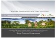 Yaoundé Declaration and Plan of Action - · PDF fileYaoundé Declaration and Plan of Action ... Rural Futures” to support the structural transformation of the ... The Blueprint