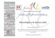 Neurologia a la tercera edat - · PDF fileNeurologia a la tercera edat Barcelona, 28 novembre 2012 Mercè Boada, MD, PhD CMO. Fundació ACE. ... Protocolo neuropsicológico para el