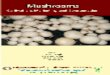 Cover - nrcmushroom.orgnrcmushroom.org/book-cultivation-merged.pdf · Integrating mushroom cultivation in existing farming systems will supplement the income of rural masses, 