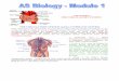 THE CIRCULATORY SYSTEMbiologymad.com/resources/Ch 6 -The Circulatory System.pdf · 5. Cardiac muscle has a rich supply of blood, which ensures that it gets plenty of oxygen. This