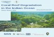Coral Reef Degradation in the Indian Ocean · PDF fileCoral Reef Degradation in the Indian Ocean ... Jean Benoit Nicet, ... provide shelter for larval stages of a number of different