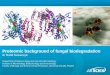Proteomic background of fungal biodegradation - · PDF fileProteomic background of fungal biodegradation ... •Fungi like to be in a moist and slightly acidic environment. ... -prevalence