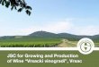 JSC for Growing and Production of Wine “Vrsacki · PDF fileJSC for Growing and Production of Wine “Vrsacki vinogradi ... JSC for Growing and Production of Wine ... The grapes from
