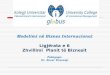 Modelimi në Biznes Internacional - · PDF fileModelimi në Biznes Internacional Ligjërata e 6 Zhvillimi Planit të Biznesit Pedagogu: Dr. Enver Krasniqi Prishtinë, Viti akademik