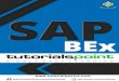 SAP Business Explorer - · PDF fileSAP Business Explorer iii 6. SAP BEX – BEX WEB INTEGRATION ... capabilities on the BI information in SAP Business Warehouse. This allows you to