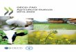 OECD-FAO Agricultural Outlook 2013 · PDF fileOECD-FAO Agricultural Outlook ... Statistical Annex The projections and past trends are presented in the statistical annex and can be