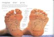 mapas del pie -   · PDF filemapas del pie Los pies tienen unas estructuras extraordinarias. Cada pie está constituido por 26 huesos (entre los dos pies poseen una cuarta parte