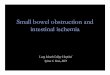 Small bowel obstruction and intestinal · PDF fileSmall bowel obstruction and intestinal ischemia ... •Possible ileus vs. obstruction. CT ... Small bowel obstruction and intestinal