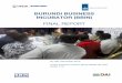 BURUNDI BUSINESS INCUBATOR (BBIN)pdf.usaid.gov/pdf_docs/PA00KBKP.pdf · The Burundi Business Incubator (BBIN) was to be aimed at reviving the ... with market related pricing to enable