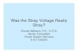 Is the Stray Voltage Really Stray? - IEEE-SAgrouper.ieee.org/groups/td/dist/stray/files/2006-05-Williams.pdf · Was the Stray Voltage Really Stray? Charlie Williams, P.E., ... Where