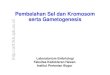 Pembelahan Sel dan Kromosom serta Gametogenesis …aff.fkh.ipb.ac.id/wp-content/uploads/2011/08/02_Gametogenesis_Rev... · Indikator Pencapaian Struktur sel: kromosom dan DNA Materi