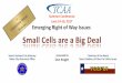 Small Cells are a Big Deal - Texas Municipal League Cells are a Big Deal.pdf · Small Cells are a Big Deal Summer Conference. June 14-16, 2017. Emerging Right of Way Issues. presented