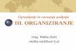 Upravljanje in ravnanje podjetja III. ORGANIZIRANJEstudentski.net/get/ulj_ekf_up1_tmn_sno_upravljanje...organiziranje.pdf · 2 III. ORGANIZIRANJE 1. Opredelitev organizacije in organiziranja