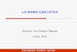 LA RAMA EJECUTIVA - · PDF fileespecial con la rama legislativa, como instalar las sesiones, presentar proyectos de ley, convocar extras . Atribuciones administrativas del Presidente