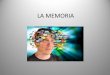 LA MEMORIA - · PDF file• No sería posible la propia historia. • No existiría el yo ... No existe el olvido. Larry Squire (1987) Memoria ... parcial de la memoria, originada